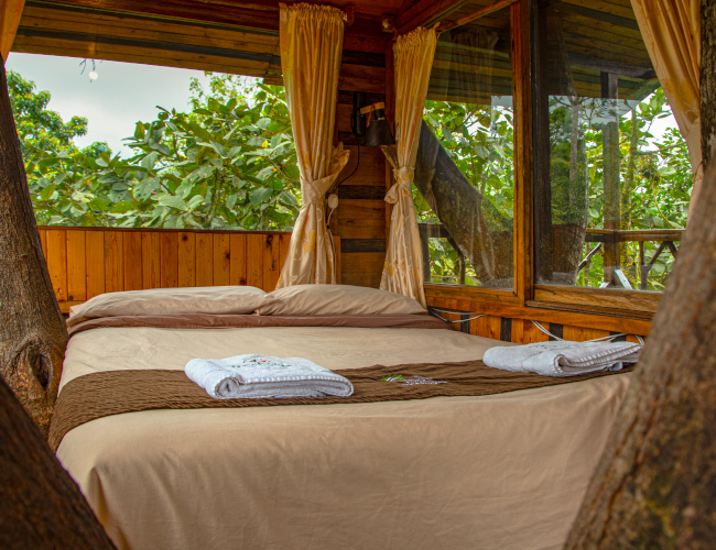Treehouse Room